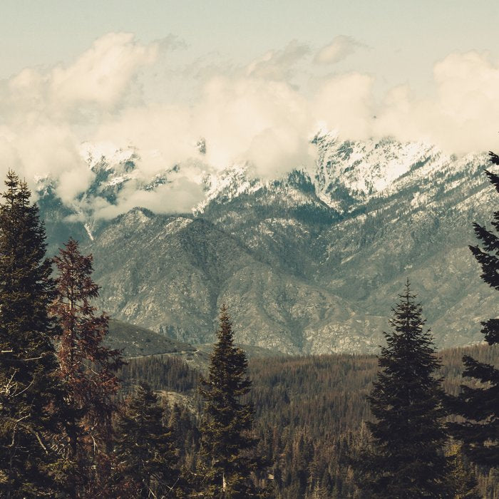 Snow capped Sierras Coffee Mug Gallery Image 2