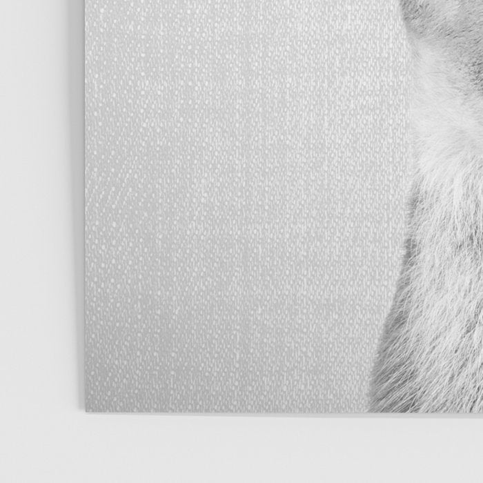 Baby Deer - Black & White Poster Gallery Image 3
