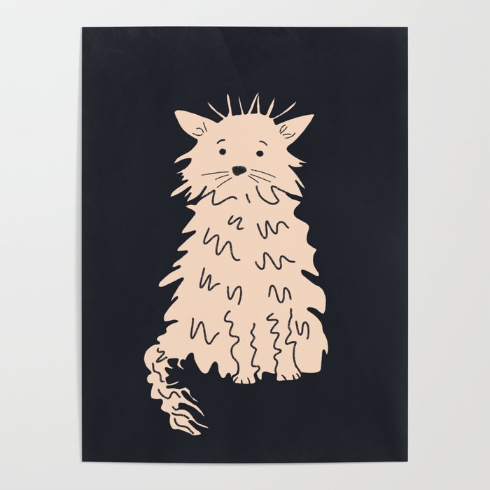 Fluffy cat on black Poster Gallery Image 4