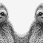 Young Sloth Coffee Mug Gallery Image 2