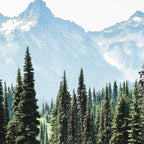Alpine Adventure Coffee Mug Gallery Image 2
