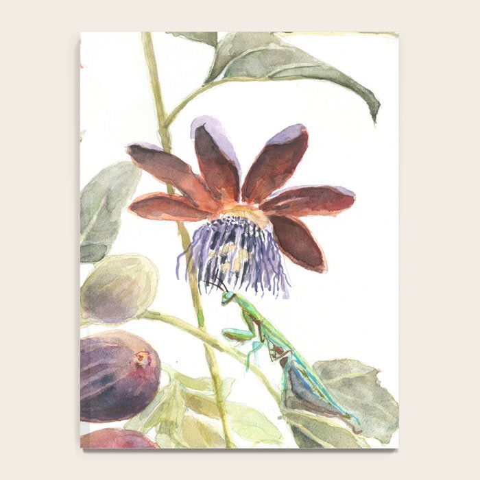 Passiflora and Figs Botanical Illustration, Praying Mantis Notebook Gallery Image 4