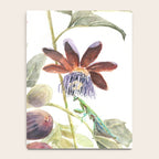 Passiflora and Figs Botanical Illustration, Praying Mantis Notebook Gallery Image 4