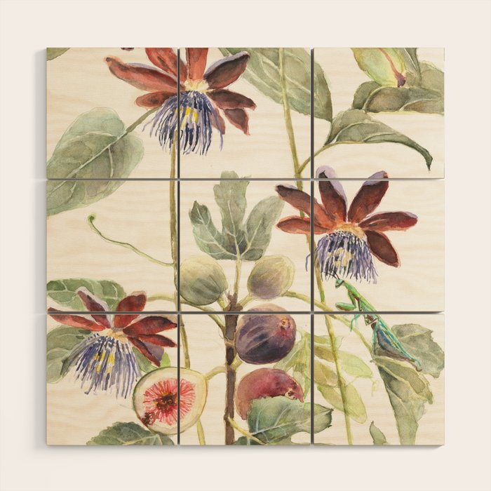Passiflora and Figs Botanical Illustration, Praying Mantis Wood Wall Art Gallery Image 1