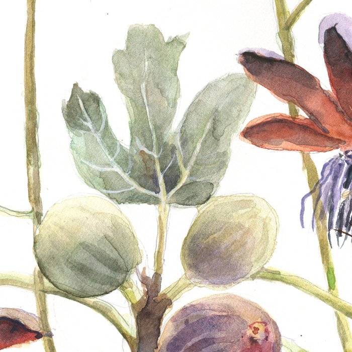 Passiflora and Figs Botanical Illustration, Praying Mantis Coffee Mug Gallery Image 2
