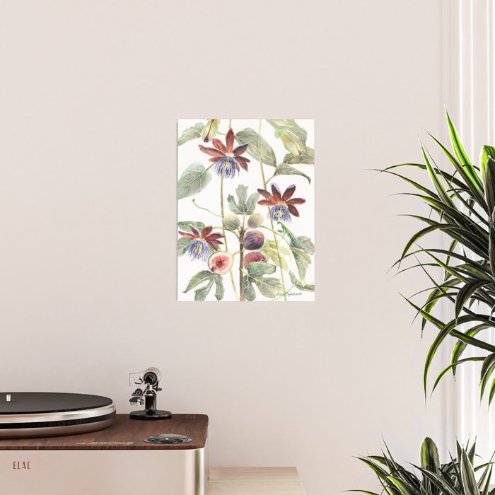 Passiflora and Figs Botanical Illustration, Praying Mantis Poster Gallery Image 2