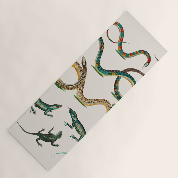 Albertus Seba Snakes And Lizards Teal Yoga Mat Gallery Image 1