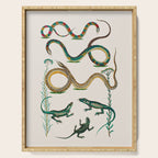 Albertus Seba Snakes And Lizards Teal Serving Tray Gallery Image 1