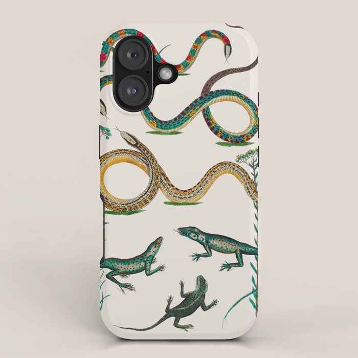 Albertus Seba Snakes And Lizards Teal iPhone Case Gallery Image 1