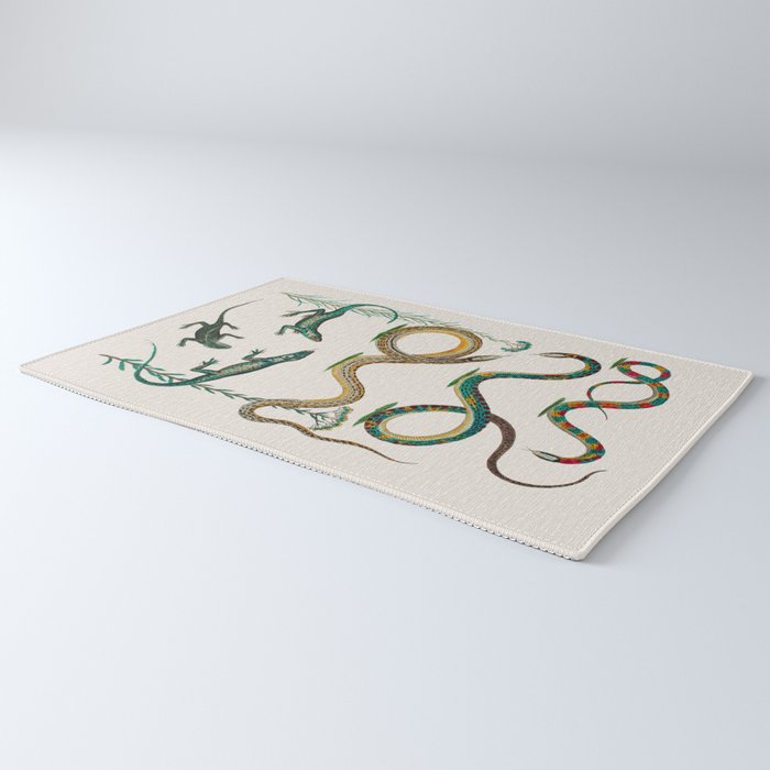 Albertus Seba Snakes And Lizards Teal Rug Gallery Image 3