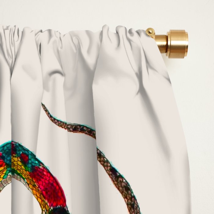 Albertus Seba Snakes And Lizards Teal Window Curtain Gallery Image 2