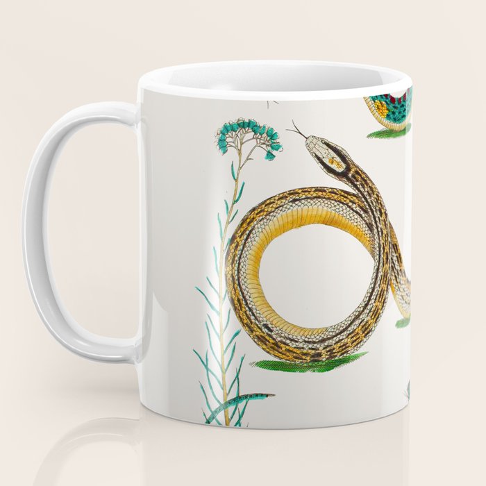 Albertus Seba Snakes And Lizards Teal Coffee Mug Gallery Image 3
