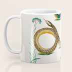 Albertus Seba Snakes And Lizards Teal Coffee Mug Gallery Image 3