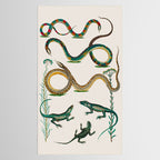 Albertus Seba Snakes And Lizards Teal Tablecloth Gallery Image 2