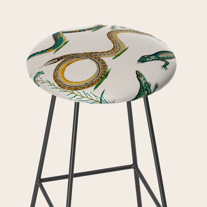 Albertus Seba Snakes And Lizards Teal Stool Gallery Image 2