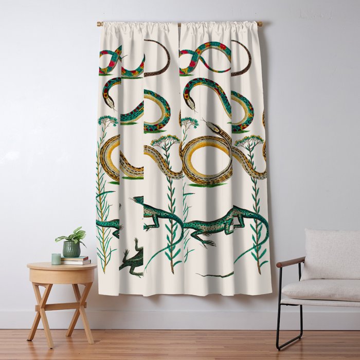 Albertus Seba Snakes And Lizards Teal Window Curtain Gallery Image 5