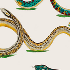 Albertus Seba Snakes And Lizards Teal Coffee Mug Gallery Image 2