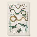 Albertus Seba Snakes And Lizards Teal Cutting Board Gallery Image 1