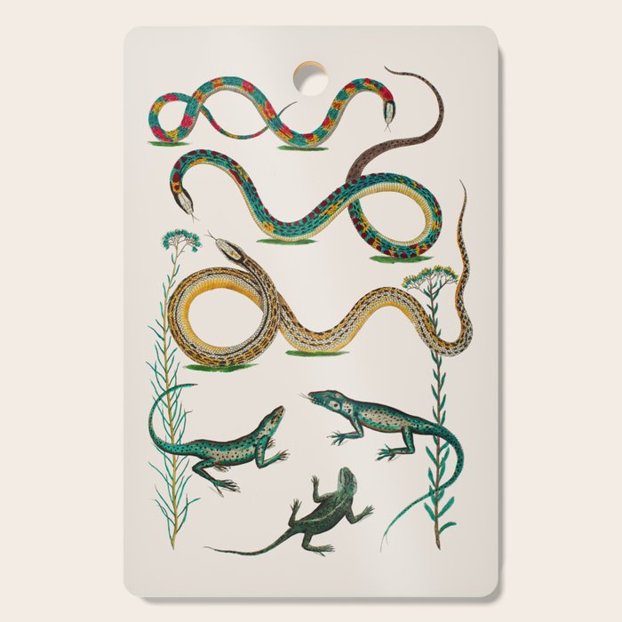 Albertus Seba Snakes And Lizards Teal Cutting Board Gallery Image 1