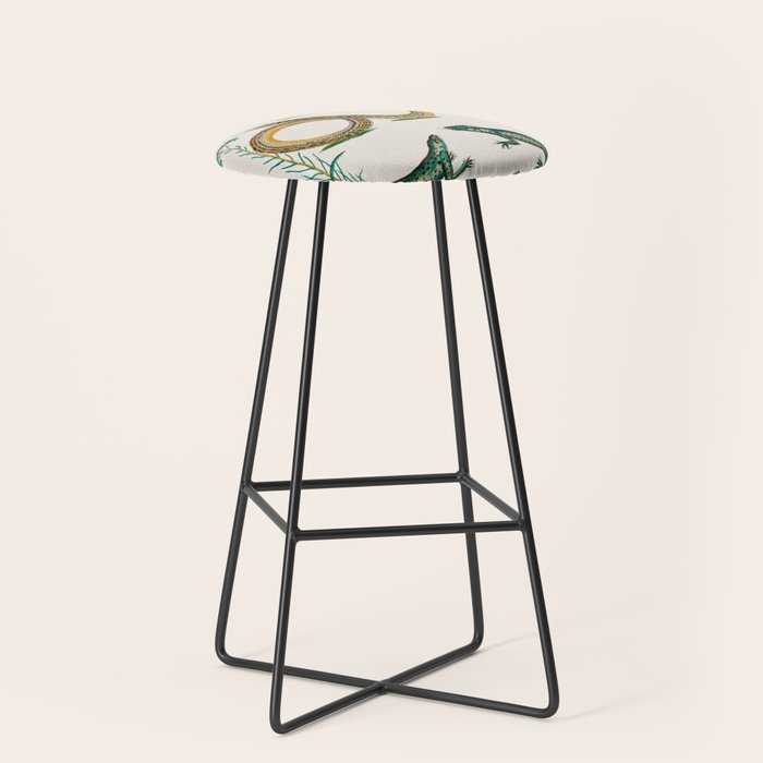 Albertus Seba Snakes And Lizards Teal Stool Gallery Image 1