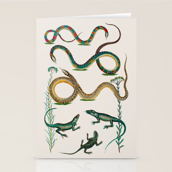 Albertus Seba Snakes And Lizards Teal Stationery Card Gallery Image 2