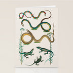 Albertus Seba Snakes And Lizards Teal Stationery Card Gallery Image 2