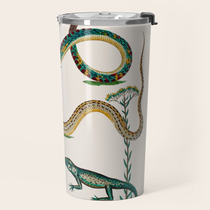 Albertus Seba Snakes And Lizards Teal Travel Mug Gallery Image 2
