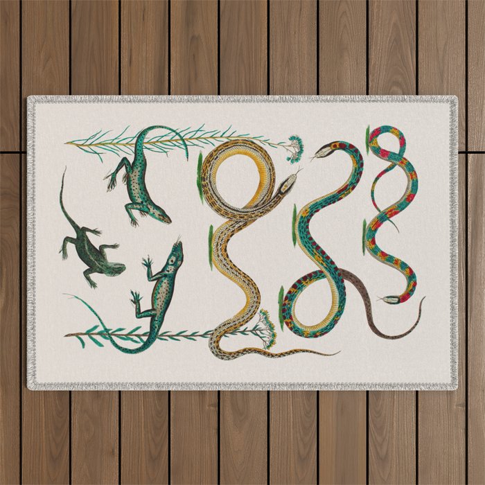 Albertus Seba Snakes And Lizards Teal Outdoor Rug Gallery Image 1