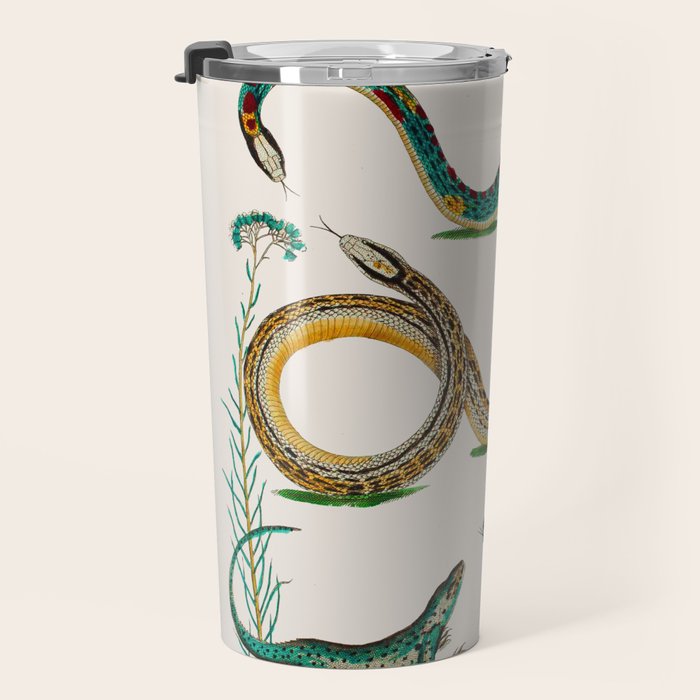Albertus Seba Snakes And Lizards Teal Travel Mug Gallery Image 3
