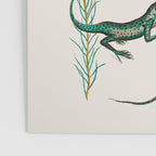 Albertus Seba Snakes And Lizards Teal Poster Gallery Image 3