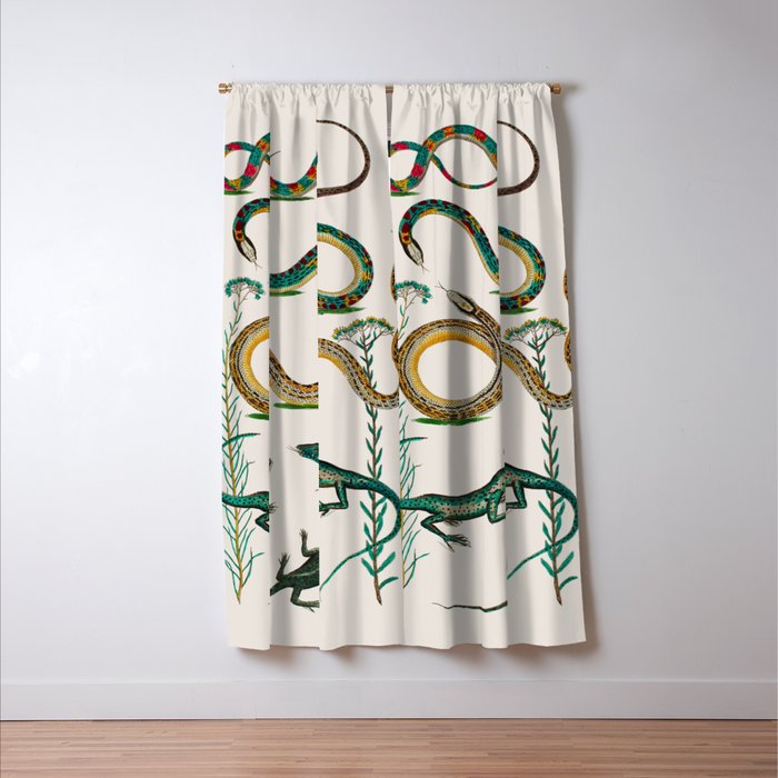 Albertus Seba Snakes And Lizards Teal Window Curtain Gallery Image 3