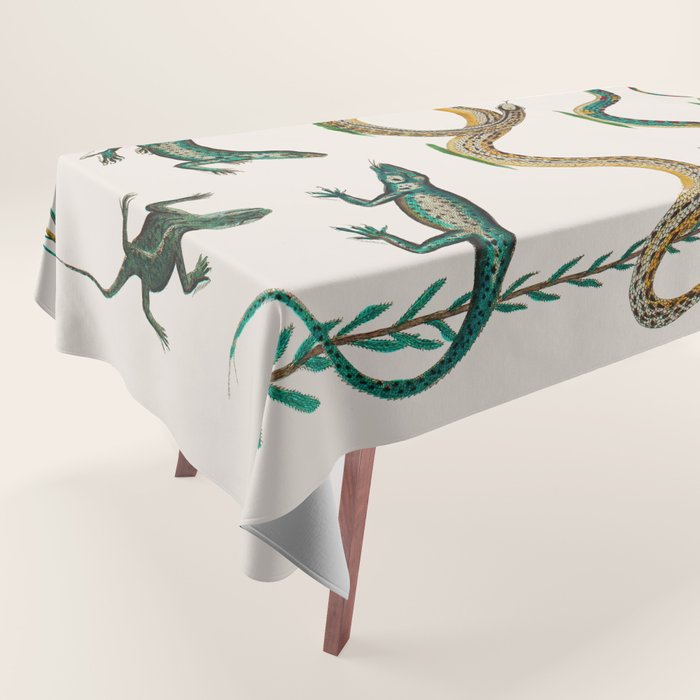Albertus Seba Snakes And Lizards Teal Tablecloth Gallery Image 1