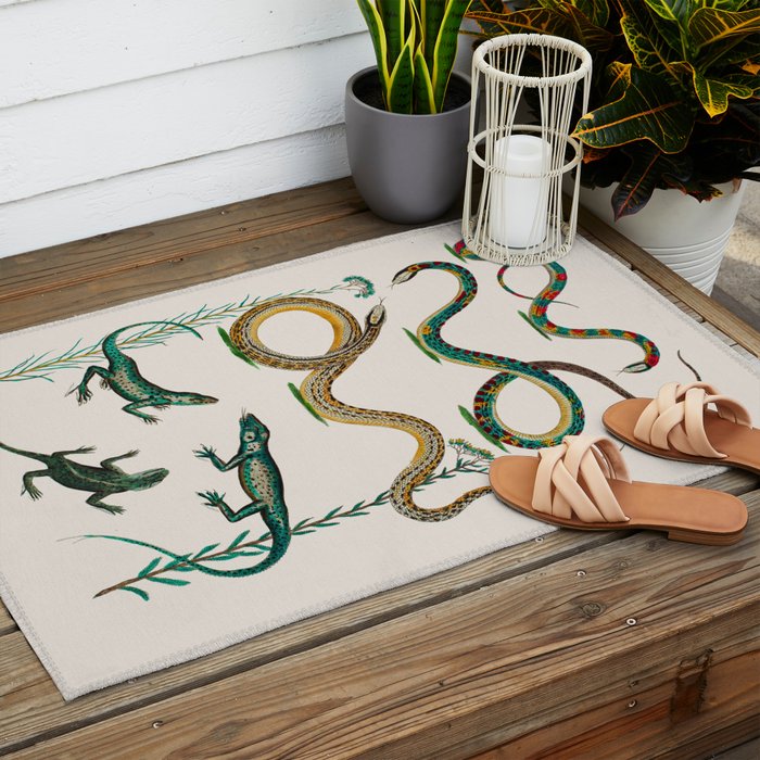 Albertus Seba Snakes And Lizards Teal Outdoor Rug Gallery Image 2