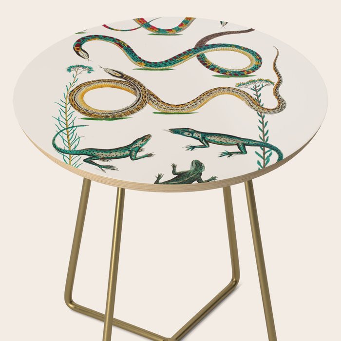 Albertus Seba Snakes And Lizards Teal Side Table Gallery Image 2