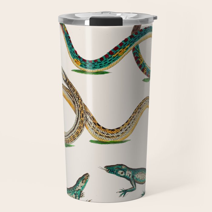 Albertus Seba Snakes And Lizards Teal Travel Mug Gallery Image 1