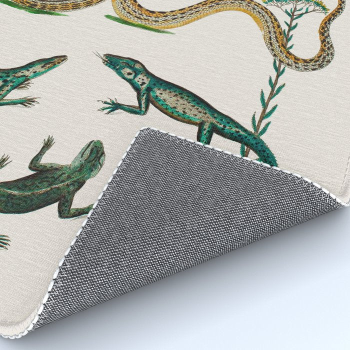 Albertus Seba Snakes And Lizards Teal Rug Gallery Image 4