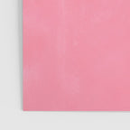 The Pink Palace Poster Gallery Image 3