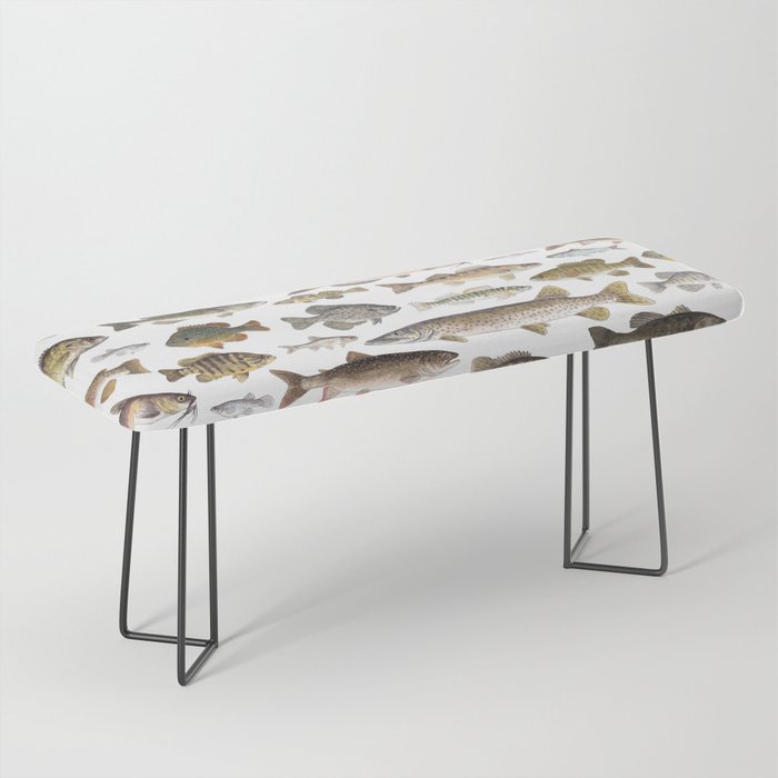 Midwest Freshwater Fish Bench Gallery Image 1
