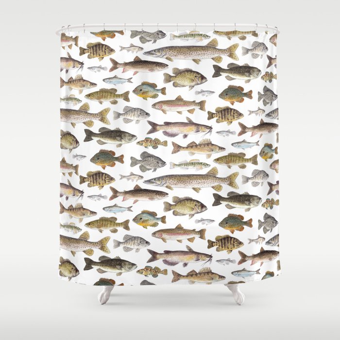 Midwest Freshwater Fish Shower Curtain Gallery Image 1