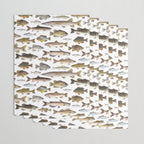 Midwest Freshwater Fish Wrapping Paper Gallery Image 3