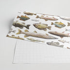 Midwest Freshwater Fish Wrapping Paper Gallery Image 2