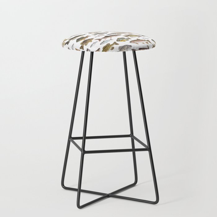 Midwest Freshwater Fish Stool Gallery Image 1