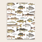 Midwest Freshwater Fish Notebook Gallery Image 4