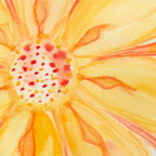 Sunburst Yellow and Orange Abstract Watercolor Flower Coffee Mug Gallery Image 2