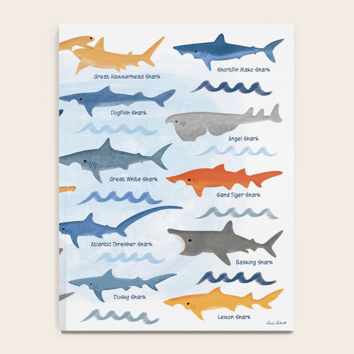 Shark Species Identification Chart Notebook Gallery Image 4