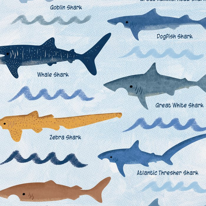 Shark Species Identification Chart Coffee Mug Gallery Image 2