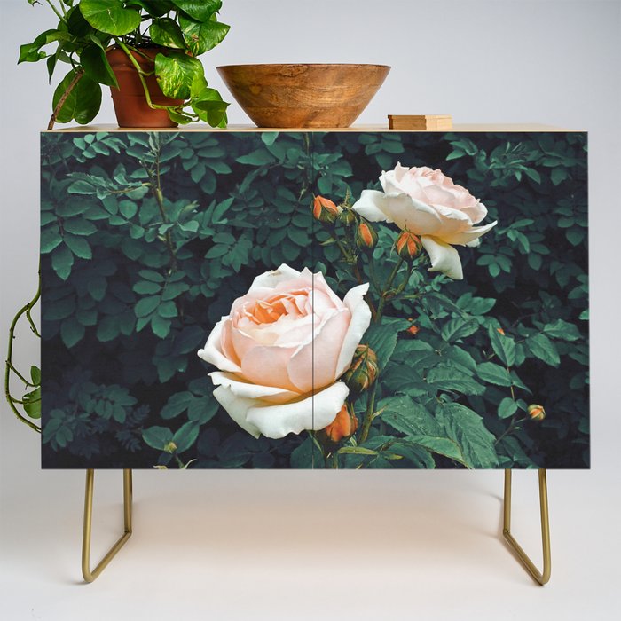 Dark Garden Credenza Gallery Image 1