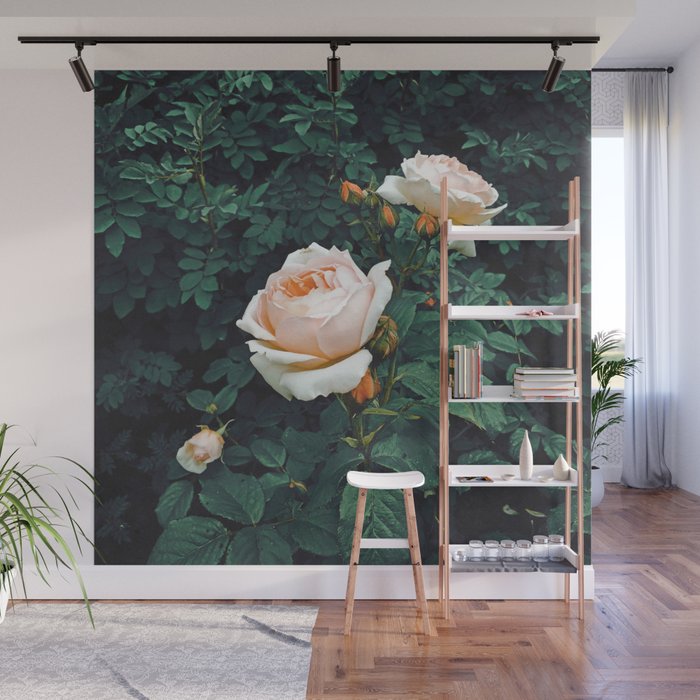 Dark Garden Wall Mural Gallery Image 1