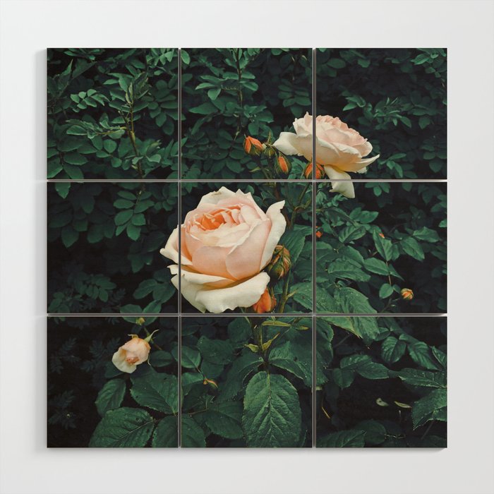 Dark Garden Wood Wall Art Gallery Image 1