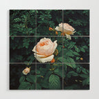 Dark Garden Wood Wall Art Gallery Image 1
